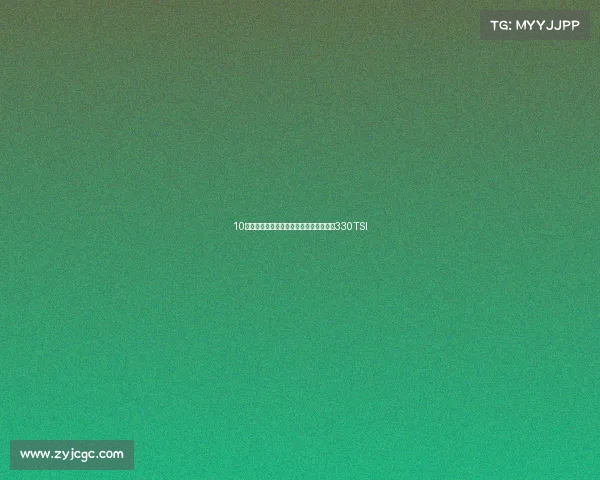 10万出头,宜商宜家好选择——二手帕萨特330TSI